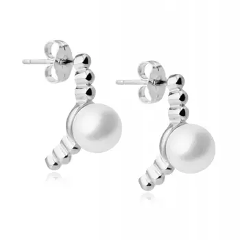 Серебряные серьги NP3793