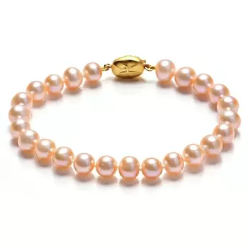 Серебряный браслет NP1059