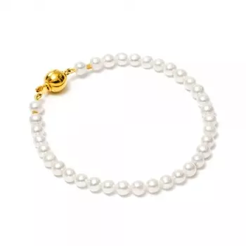 Серебряный браслет NP66