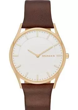 Швейцарские наручные мужские часы Skagen SKW6225. Коллекция Leather