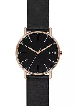 Швейцарские наручные мужские часы Skagen SKW6401. Коллекция Leather