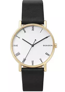 Швейцарские наручные мужские часы Skagen SKW6426. Коллекция Leather