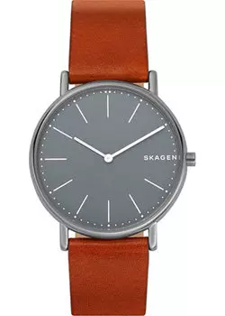 Швейцарские наручные мужские часы Skagen SKW6429. Коллекция Leather