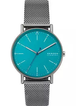 Швейцарские наручные мужские часы Skagen SKW6743. Коллекция Mesh