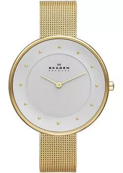 Швейцарские наручные женские часы Skagen SKW2141. Коллекция Mesh