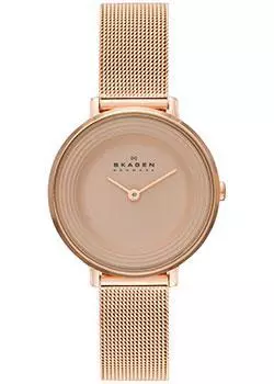 Швейцарские наручные женские часы Skagen SKW2213. Коллекция Mesh