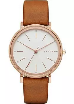 Швейцарские наручные женские часы Skagen SKW2488. Коллекция Leather