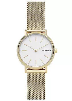 Швейцарские наручные женские часы Skagen SKW2693. Коллекция Mesh