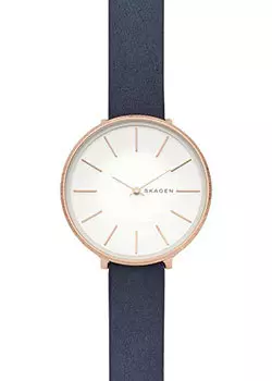 Швейцарские наручные женские часы Skagen SKW2723. Коллекция Leather