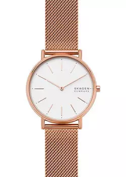 Швейцарские наручные женские часы Skagen SKW2784. Коллекция Mesh