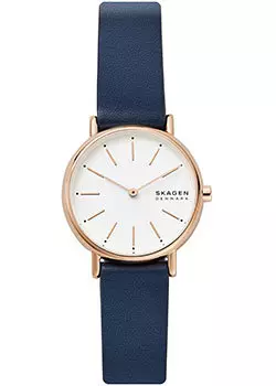 Швейцарские наручные женские часы Skagen SKW2838. Коллекция Leather