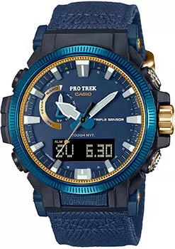 Японские наручные мужские часы Casio PRW-61SS-2. Коллекция Pro-Trek