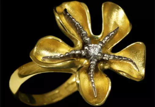 Золотое кольцо 11100