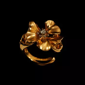 Золотое кольцо 11313