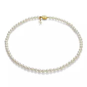 Золотое колье NP4727