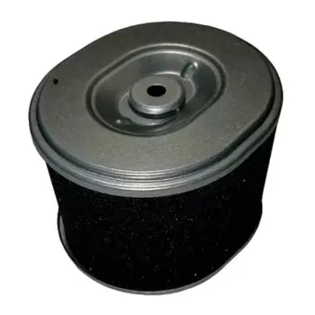 Фильтр воздушный (элемент) ТСС G270F/Air filter (element) 180100038-0001, 037955