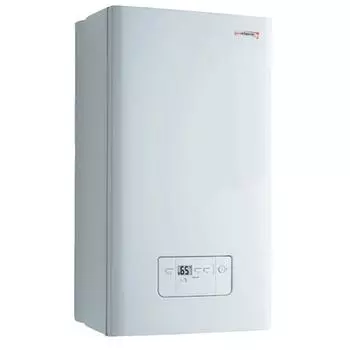 Газовый котел Protherm Гепард 23 MTV