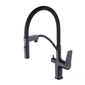 Смеситель для кухни Lemark Bronx LM3761BL с фильтром для питьевой воды