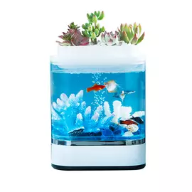 Аква-ферма Xiaomi Descriptive Geometry Mini Lazy Fish Tank