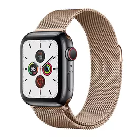 Apple Watch Series 5 GPS + Cellular, 40mm, корпус из стали цвета «черный космос», золотой миланский сетчатый браслет
