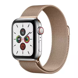 Apple Watch Series 5 GPS + Cellular, 40mm, корпус из стали, золотой миланский сетчатый браслет
