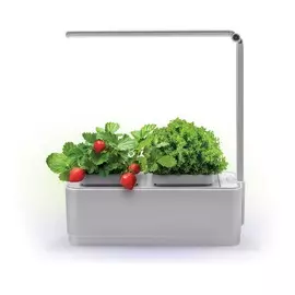 Компактный умный сад с подсветкой iGarden LED