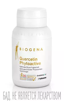 Кверцетин Фитоактив Голд