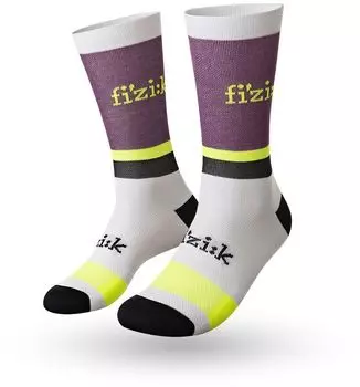 Носки Fizik Team Edition (белый S)