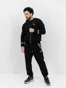 Костюм спортивный ZLT GREEK LION