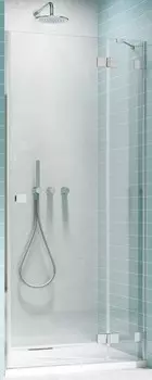 Душевая дверь «Radaway» Essenza Pro DWJ 100 прозрачная/хром правая