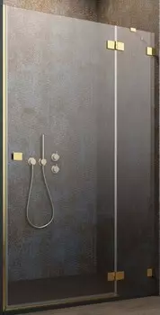 Душевая дверь «Radaway» Essenza Pro Gold DWJ 120 прозрачная/золото правая
