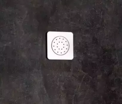 Душевая форсунка «Ravak» Chrome 990.00 хром