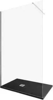 Душевая перегородка «Allen Brau» Infinity 1 Walk in 120/200 прозрачная/серебро брашированное универсальная