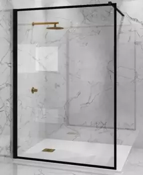 Душевая перегородка «Paini» WalkIN110F 110/195 прозрачная/чёрная универсальная