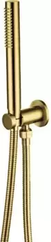 Душевой гарнитур «Allen Brau» Priority 5.31019-GB брашированное золото
