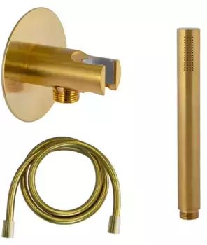 Душевой гарнитур «Daniel» A546XB435DP брашированное золото