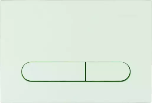 Кнопка смыва «Allen Brau» Project Color 9.2PR01.MT мятный