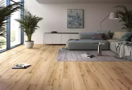 Коллекция ламината «Classen» Ambience 4V WR