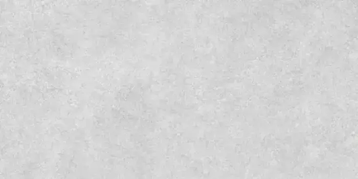 Напольная плитка «Alma Ceramica» Amsterdam 114x57 GFA114ADM07R светло-серый