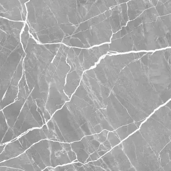 Напольная плитка «Alma Ceramica» Emotion Lapp. 57x57 GFA57EMT70L серый