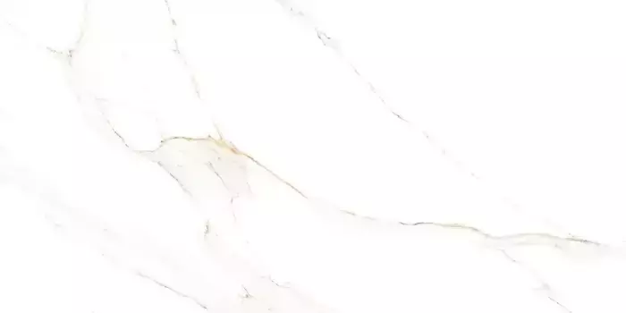 Напольная плитка «Alma Ceramica» Extra Calacatta Matt. 114x57 GFA114ECL04R белый