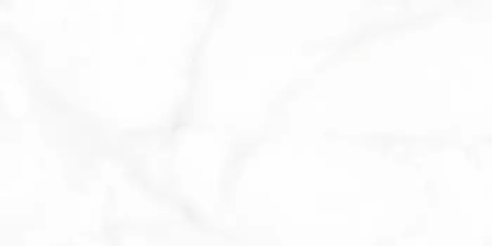 Напольная плитка «Art&Natura Ceramica» Onyx Glossy 120x60 131.114.1111 liola white