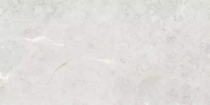 Напольная плитка «Art&Natura Ceramica» Una Pietra Nordix Glossy 120x60 111.11P.1111 silver