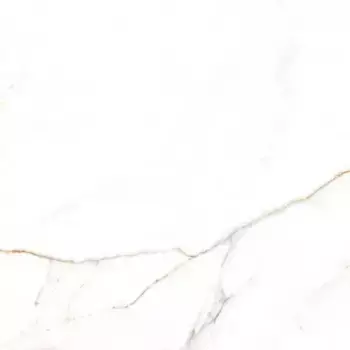 Напольная плитка «Belleza» Austrain Glossy 60х60 СК000042483 natural