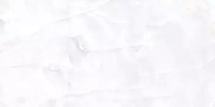 Напольная плитка «Belleza» Coin Polish. 120х60 СК000042618 white