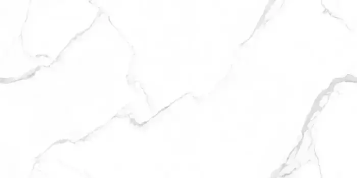 Напольная плитка «Belleza» Lentin Statuario Endles Matt. 120х60 графика RS 159 СК000042633 белый