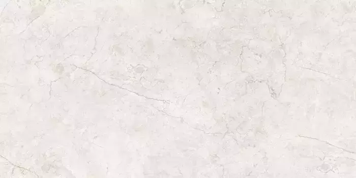 Напольная плитка «Belleza» Panama Polish. 120х60 carving СК000042824 silver