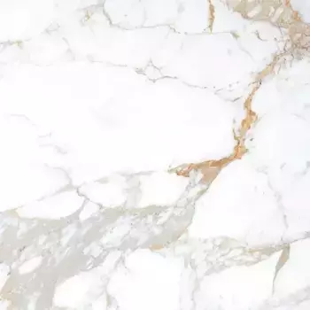 Напольная плитка «Belleza» Roman Glossy 60х60 СК000042481 brown