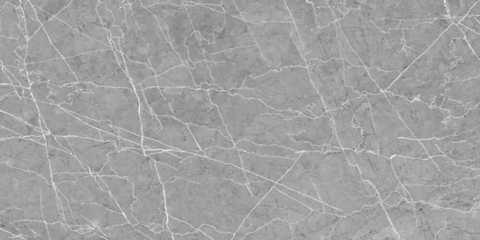 Напольная плитка «Belleza» RS 1029 Matt. 120х60 СК000042629 grey