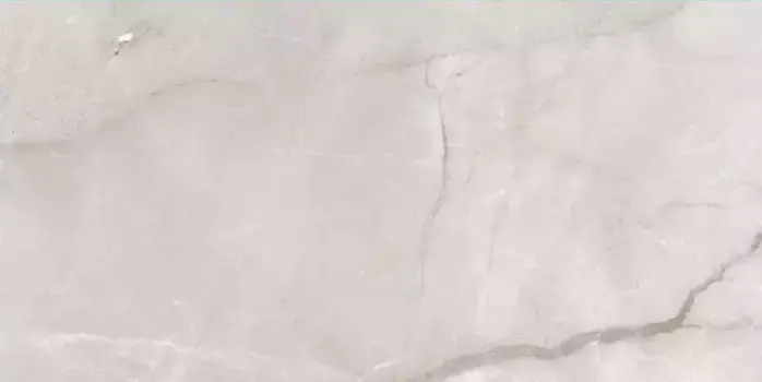 Напольная плитка «Best Ceramic» Fish Maw Ash Digital Matt. 120x60 carving KSW612DG008 светло-серый